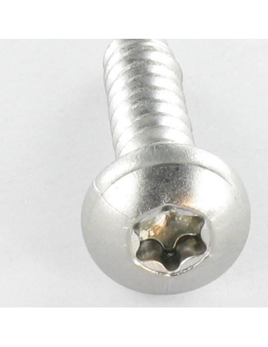 Parafuso de chapa cabeça abaulada larga 3,9 x 13 Aço inoxidável A2 TORX T15