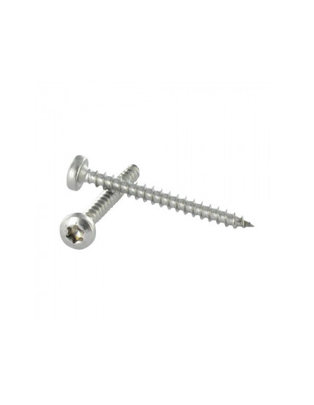 Parafuso de madeira aglomerado cabeça redonda TORX T20 4X20 Aço inoxidável A4