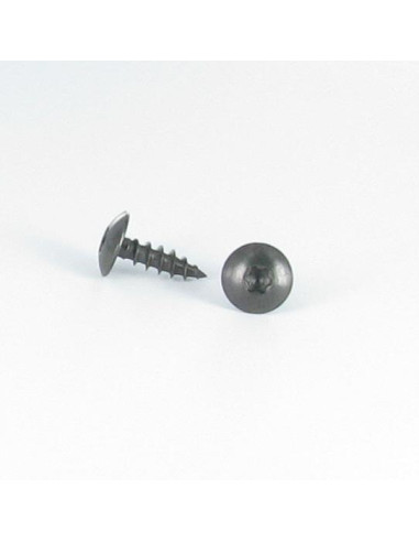 PARAFUSO dobradiça 6X40 roscado sobre 38 TORX T30 Aço inoxidável A2 Preto