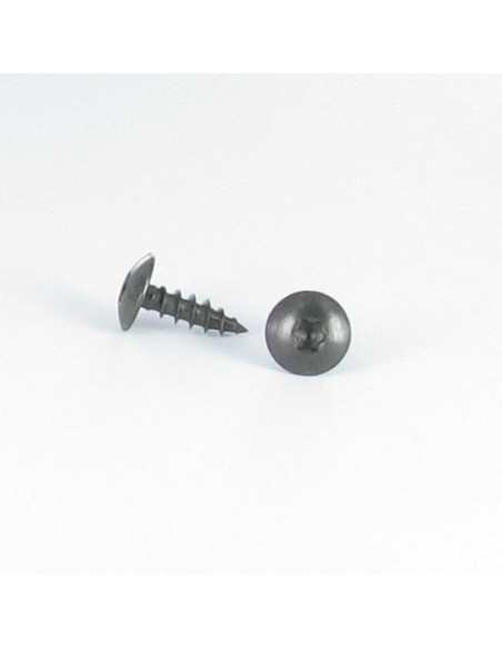 PARAFUSO dobradiça 6X40 roscado sobre 38 TORX T30 Aço inoxidável A2 Preto