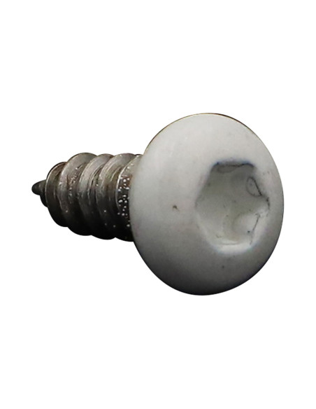 Parafuso de chapa cabeça abaulada larga 4,2 x 13 Aço inoxidável A2 TORX T20 RAL9010 branco puro