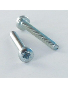 Parafuso autorroscante cabeça abaulada larga M6X20 Pozi PZ7 Aço zinco branco