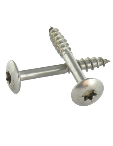PARAFUSO dobradiça 6X50 roscado sobre 38 TORX T30 Aço inoxidável A4