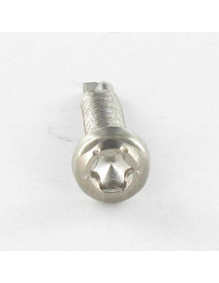 Autoperfurante cabeça cilíndrica TORX T15 3,9 x 19 Aço inoxidável A4