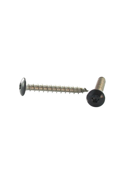 PARAFUSO dobradiça 7X30 TORX T30 Aço inoxidável A2 Preto RAL9005 preto escuro 80% BRI