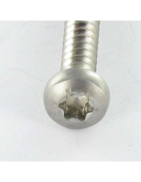 Parafuso de chapa cabeça abaulada larga 4,2X35 Aço inoxidável A2 TORX T20 perno piloto