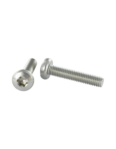 Parafuso de metais cabeça abaulada larga Aço inoxidável A2 M2,5X12 TORX T8 microparafusos