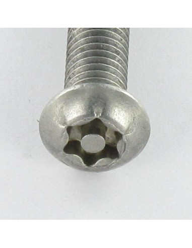 Parafuso de metais Aço inoxidável A2 Seguro cabeça panela TORX T25 com pino M5X40