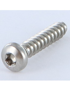 Parafuso de chapa cabeça abaulada larga TORX 5,5 x 25 Aço inoxidável A2 sem ponta