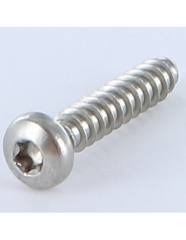 Parafuso de chapa cabeça abaulada larga TORX 5,5 x 25 Aço inoxidável A2 sem ponta