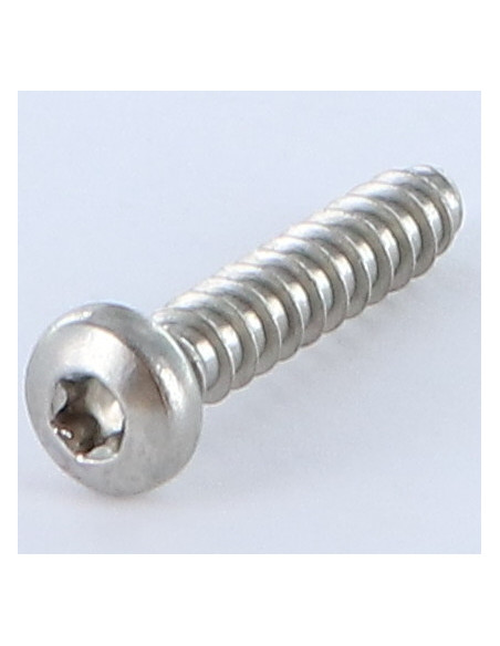 Parafuso de chapa cabeça abaulada larga TORX 5,5 x 25 Aço inoxidável A2 sem ponta