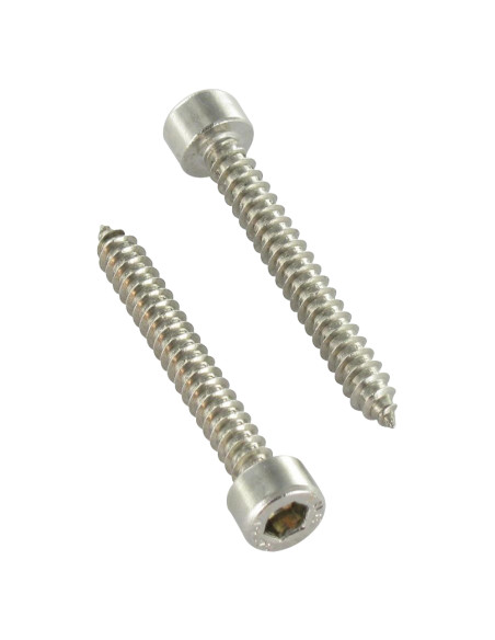 Parafuso de chapa Parafuso cabeça oca sextavada Aço inoxidável A2 4,8X38