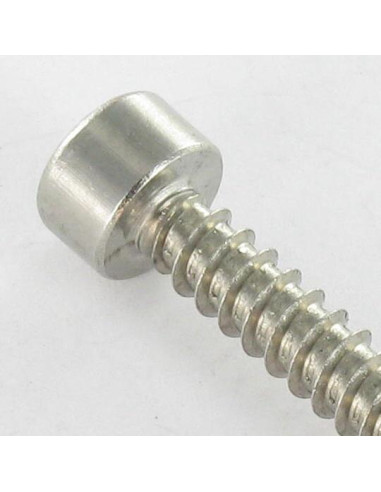 Parafuso de chapa Parafuso cabeça oca sextavada Aço inoxidável A2 4,8X38