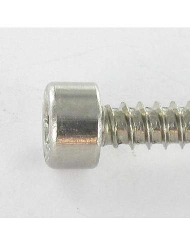 Parafuso de chapa Parafuso cabeça oca sextavada Aço inoxidável A2 4,8X38