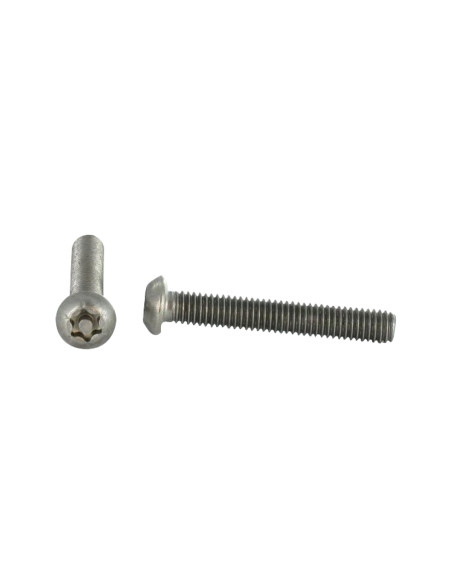 Parafuso de metais Aço inoxidável A2 Seguro cabeça panela TORX T20 com pino M4X20
