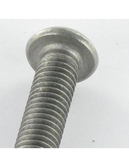 Parafuso de metais Aço inoxidável A2 Seguro cabeça panela TORX T20 com pino M4X20