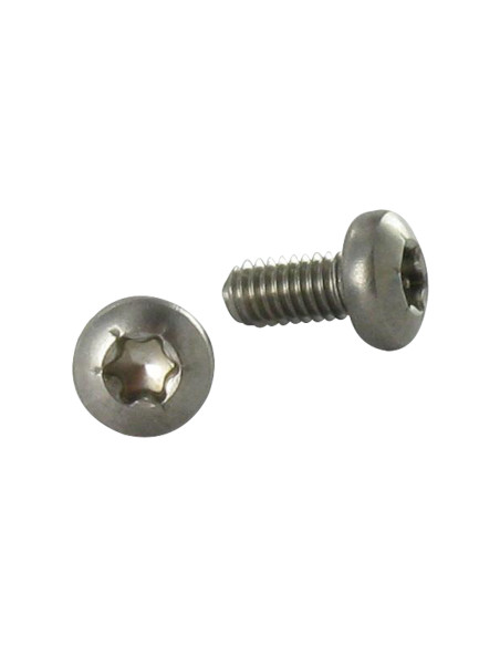 Parafuso autorroscante Aço inoxidável A2 cabeça cilíndrica panela TORX 4X8 TORX T20