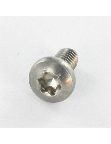 Parafuso autorroscante Aço inoxidável A2 cabeça cilíndrica panela TORX 4X8 TORX T20