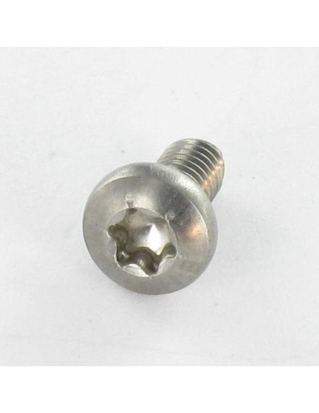 Parafuso autorroscante Aço inoxidável A2 cabeça cilíndrica panela TORX 4X8 TORX T20