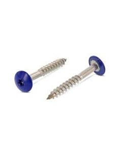 Parafusos rosca com cabeça de tremoço TORX T20 4,8X38 diâmetro da cabeça 12.3 Aço inoxidável A2 RAL5002