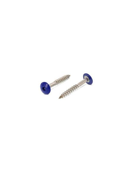 Parafusos rosca com cabeça de tremoço TORX T20 4,8X38 diâmetro da cabeça 12.3 Aço inoxidável A2 RAL5002