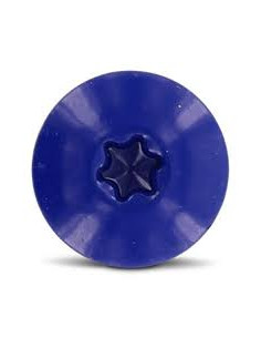 Parafusos rosca com cabeça de tremoço TORX T20 4,8X38 diâmetro da cabeça 12.3 Aço inoxidável A2 RAL5002 2