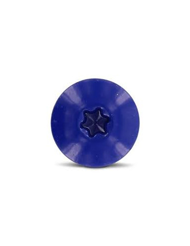 Parafusos rosca com cabeça de tremoço TORX T20 4,8X38 diâmetro da cabeça 12.3 Aço inoxidável A2 RAL5002