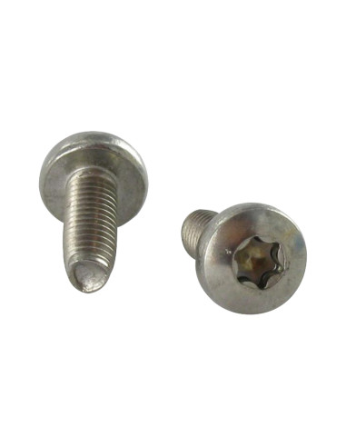 Parafuso autorroscante cabeça cilíndrica panela TORX T20 M4X8 Aço inoxidável A2