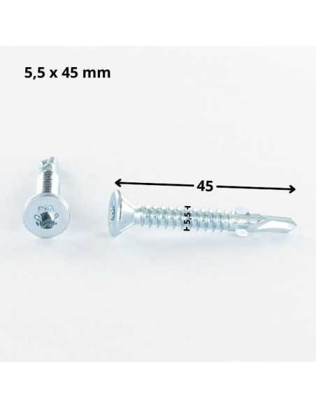 Autoperfurante cabeça fresada TORX T30 5,5 x 45 dentado com asas Aço zinco branco