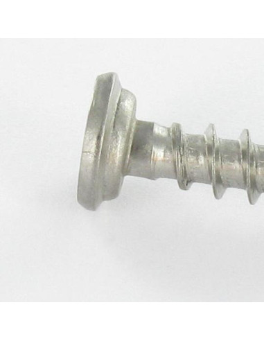 Parfuso de pvc Aço inoxidável A2 cabeça cilíndrica phillips 5X46