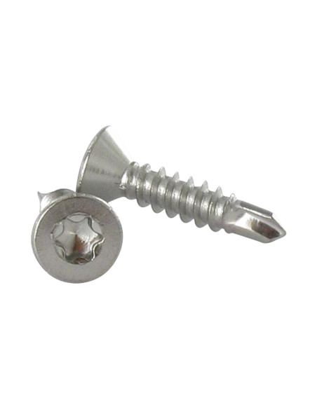 Autoperfurante Aço inoxidável A2 cabeça fresada 4,8X60 TORX T25