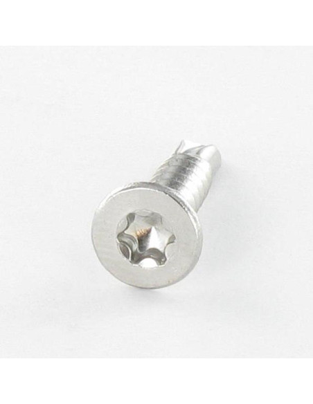 Autoperfurante Aço inoxidável A2 cabeça fresada 4,8X60 TORX T25