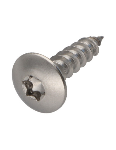 PARAFUSO dobradiça 6X25 rosca total TORX T30 Aço inoxidável A2