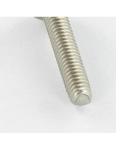 Parafuso autorroscante cabeça cilíndrica panela M6X30 Pozi PZ7 Aço inoxidável A2
