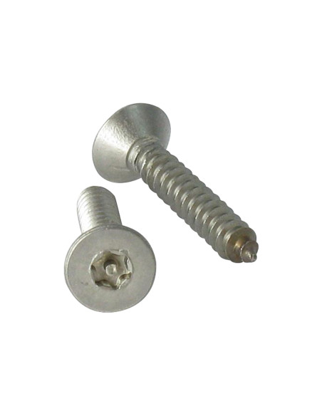Parafuso de chapa Seguro Aço inoxidável A2 cabeça fresada TORX T20 com pino 4,2 x 13