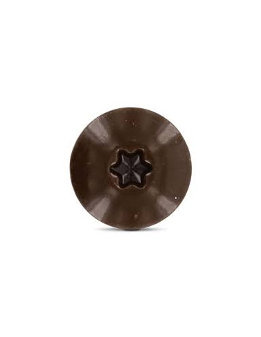 Parafusos rosca com cabeça de tremoço TORX T20 4,8X38 diâmetro da cabeça 12.3 Aço inoxidável A2 RAL8014 castanho