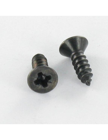 Parafuso de chapa Aço inoxidável A2 cabeça fresada Pozi 4,8X38 Preto