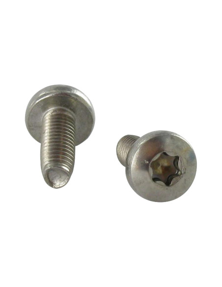 Parafuso autorroscante cabeça cilíndrica panela TORX T20 M4X30 Aço inoxidável A2