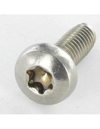 Parafuso autorroscante cabeça cilíndrica panela TORX T20 M4X30 Aço inoxidável A2