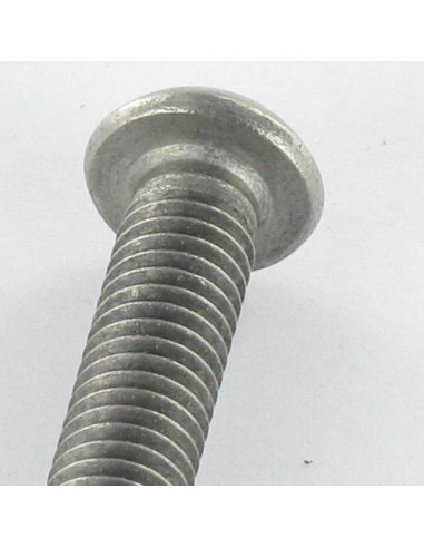 Parafuso de metais Aço inoxidável A2 Seguro cabeça panela TORX T20 com pino M4X12