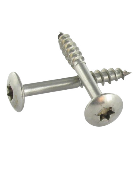 PARAFUSO dobradiça 7X50 roscado sobre 38 TORX T30 Aço inoxidável A2