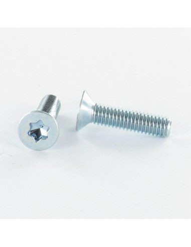 Parafuso de metais cabeça fresada TORX T30 M6X12 Classe 4.8 Aço zinco branco