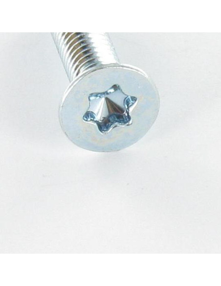 Parafuso de metais cabeça fresada TORX T30 M6X12 Classe 4.8 Aço zinco branco