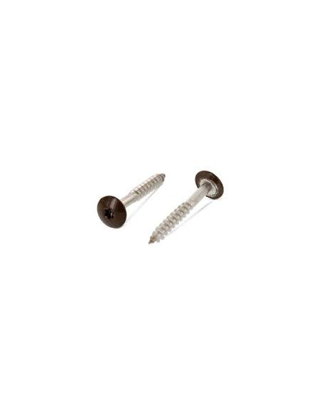 Parafusos rosca com cabeça de tremoço TORX T20 4,8 x 32 diâmetro da cabeça 12.3 Aço inoxidável A2 RAL8014