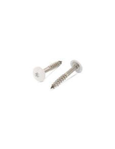 Parafusos rosca com cabeça de tremoço TORX T20 4,8X38 diâmetro da cabeça 12.3 Aço inoxidável A2 RAL 1013 branco