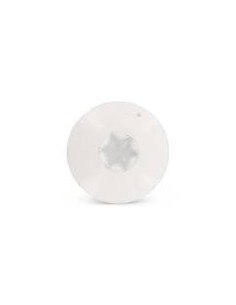 Parafusos rosca com cabeça de tremoço TORX T20 4,8X38 diâmetro da cabeça 12.3 Aço inoxidável A2 RAL 1013 branco 2