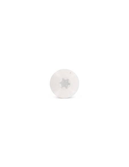 Parafusos rosca com cabeça de tremoço TORX T20 4,8X38 diâmetro da cabeça 12.3 Aço inoxidável A2 RAL 1013 branco