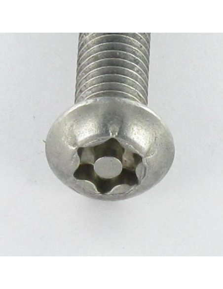 Parafuso de metais Aço inoxidável A2 Seguro cabeça panela TORX T30 com pino M6X25