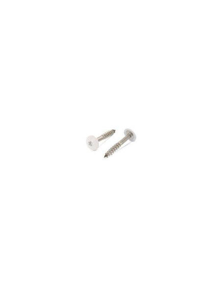 Parafusos rosca com cabeça de tremoço TORX T20 4,8X25 diâmetro da cabeça 12.3 Aço inoxidável A2 RAL 1013 branco