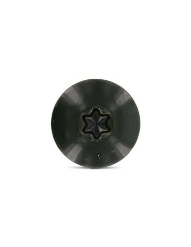 Parafusos rosca com cabeça de tremoço TORX T20 4,8X25 diâmetro da cabeça 12.3 Aço inoxidável A2 RAL6009 verde